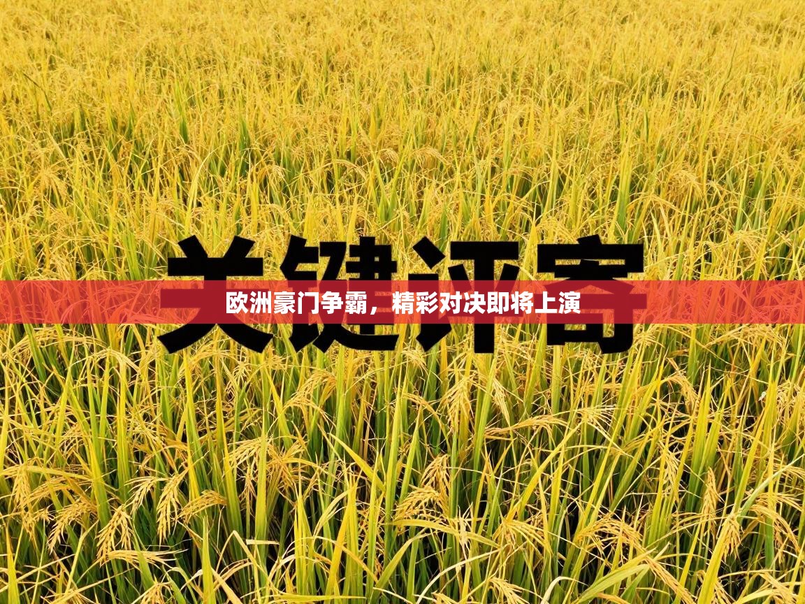 欧洲豪门争霸，精彩对决即将上演  第1张