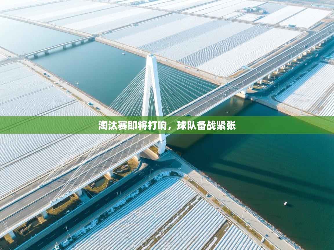 淘汰赛即将打响，球队备战紧张  第1张