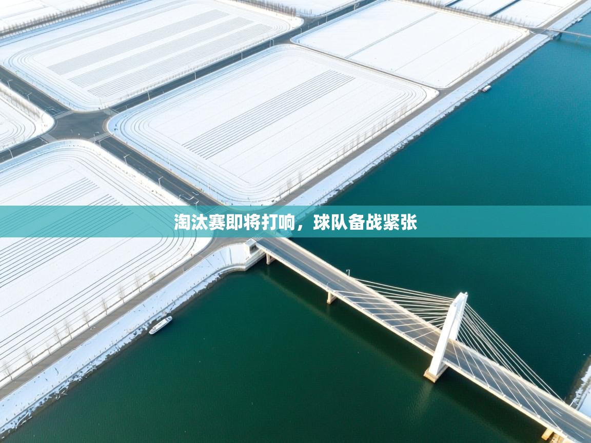 淘汰赛即将打响，球队备战紧张  第2张