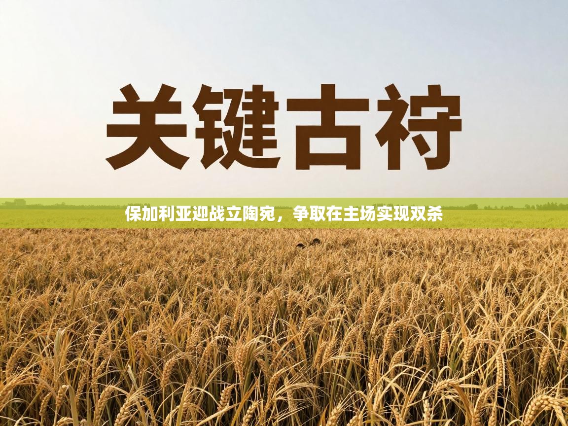 保加利亚迎战立陶宛，争取在主场实现双杀  第2张