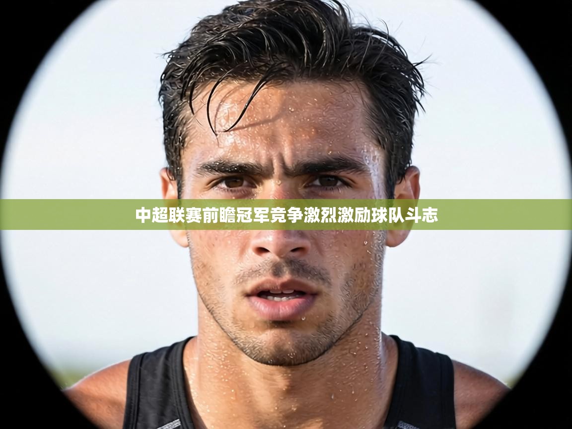 中超联赛前瞻冠军竞争激烈激励球队斗志 第2张